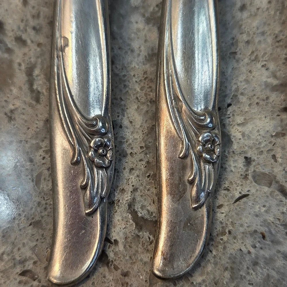 Rogers & Bro Silver Plate Flatware Set 34pc Exquisite Pattern Floral Rose Vtg